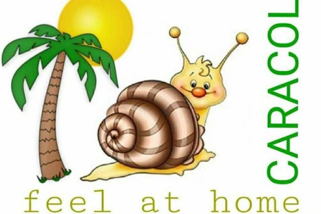 Caracol Playa del Ingles (Gran Canaria)